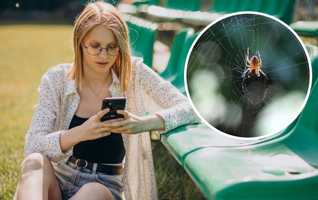 Чи насправді павуки приносять удачу: забобони і факти