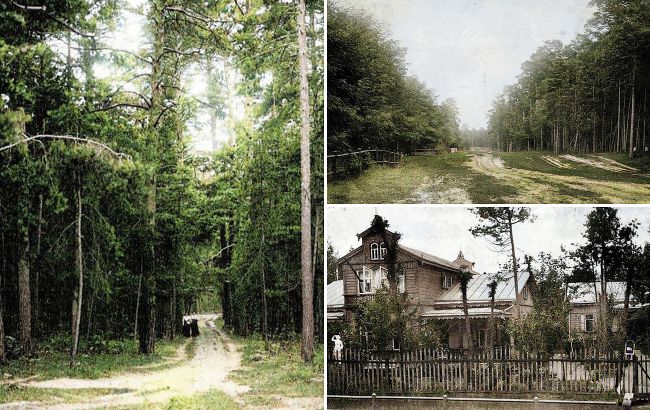 Із залізничною станцією та елітними дачами. Як виглядала столична Дарниця 100 років тому