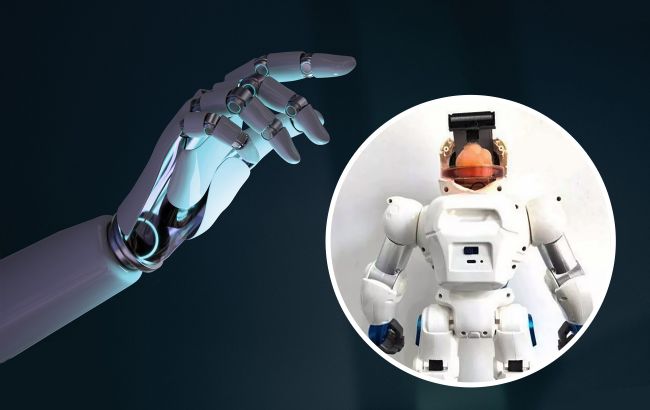 Вчені створили робота Франкенштейна з "мозком" зі стовбурових клітин: що він здатний робити