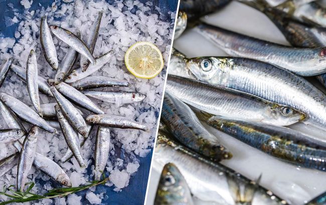 Килька или хамса: как не дать себя обмануть на рынке и выбрать лучшую рыбу