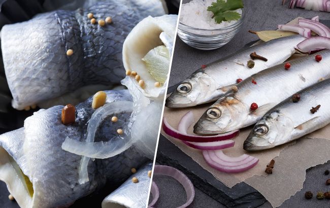 Сельдь или матиас: в чем разница и почему один вид считают деликатесом