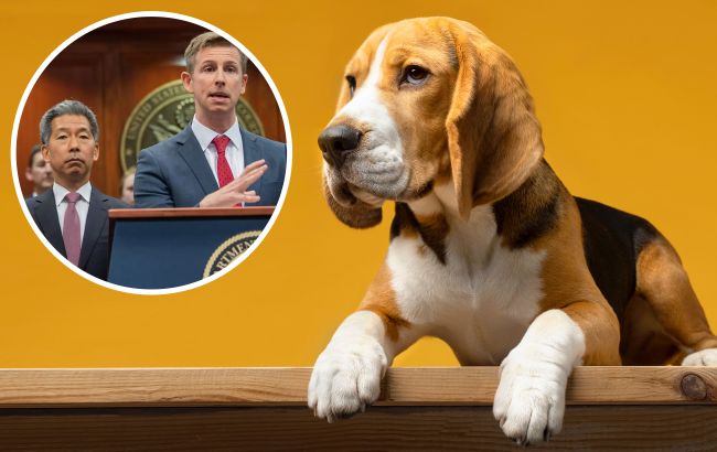 Собаки гинули "з невідомих причин". Заводчик біглів заплатить 35 мільйонів за садизм