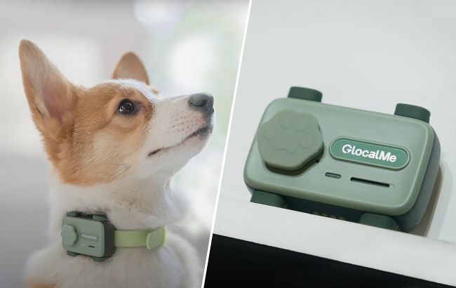 У світі з'явився перший "смартфон" для домашніх улюбленців: навіщо він потрібен і як працює