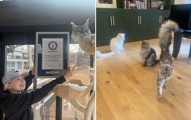 Кіт Пагслі став рекордсменом Книги Гіннесса завдяки своєму хвосту (фото)