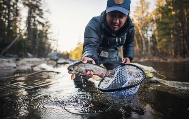 За одну рибину - штраф понад 7 тисяч: кого заборонили ловити у чотирьох областях України
