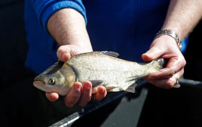Українських рибалок попередили про важливе нововведення: що відомо
