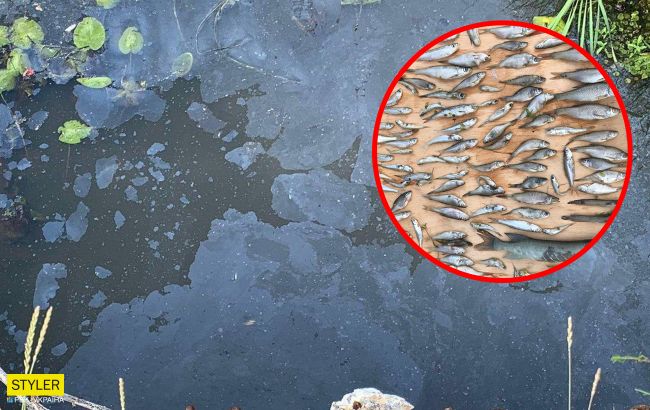 Под Киевом случилась экокатастрофа: ужасный запах стоит повсюду (фото)