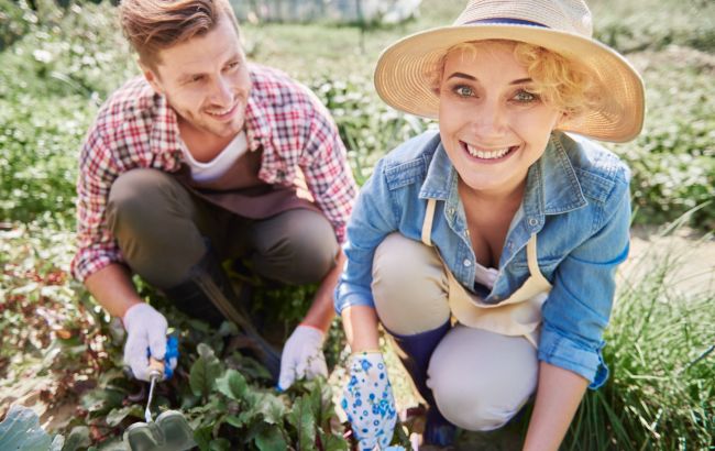 Що робити в червні на городі: важливі поради для городників