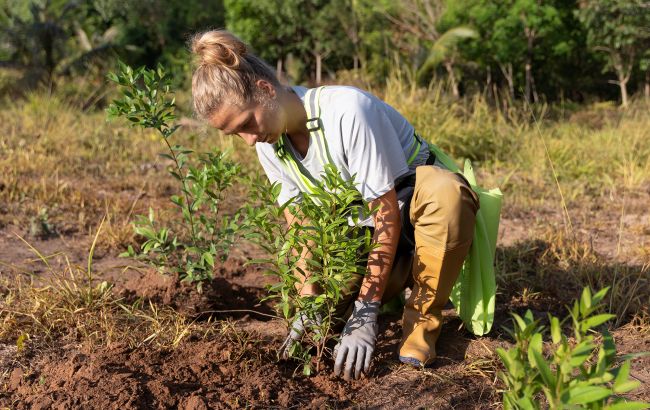 Посівний календар на вересень 2024 року: що і коли садити для багатого врожаю