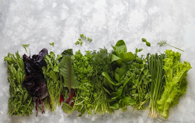 Как заготовить зелень на зиму: простые способы заморозки