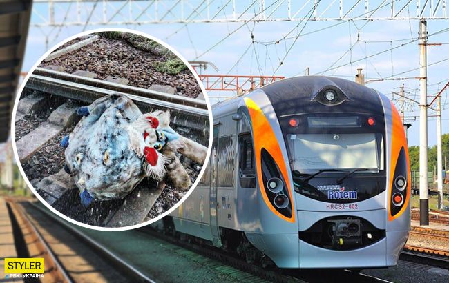 Поїзд Інтерсіті зупинили через невдалий жарт: усі подробиці