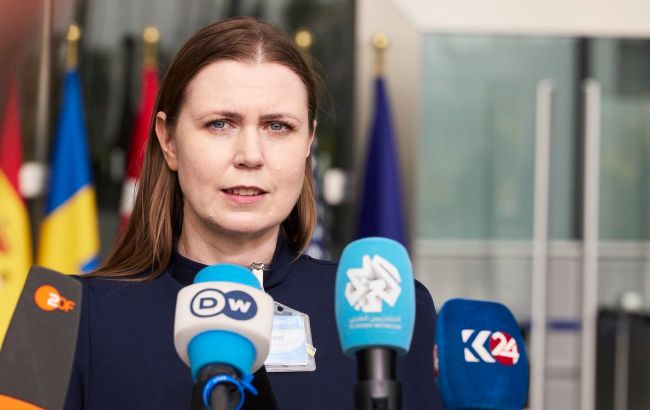 Вспомнили Турцию: в Литве призвали решительно ответить на самолеты РФ над Эстонией