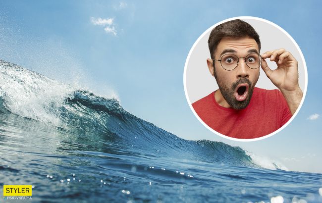 На берег выбросило существо с острыми зубами и удочкой на голове: фото "монстра"