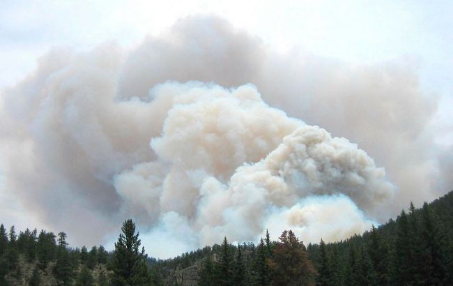 Минобороны потроллило россиян "Бавовнятком": приходит на склады и играет с огнем