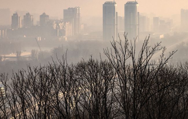 Киевлян призвали закрыть окна из-за пожаров в Киевской области