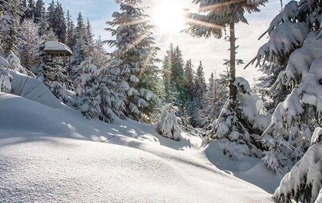В Карпатах нашли заблудившихся туристов из Киева
