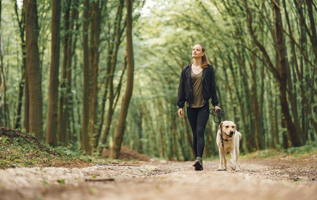 Яка ходьба приносить найбільшу користь організму: відповідь кардіолога