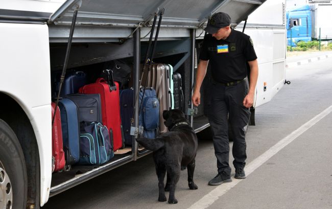 Безпека - в деталях? Навіщо перевіряють речі на кордоні й що шукають собаки