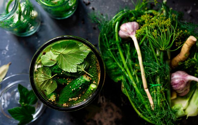 Ранні огірки консервувати не можна? Що про це говорять досвідчені городники