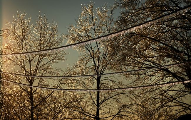 Не морози, а заморозки. Синоптики пояснили, чим небезпечне зниження температури