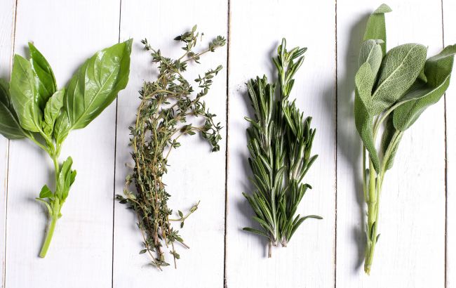 Названа зелень, которая снижает артериальное давление и помогает работе сердца