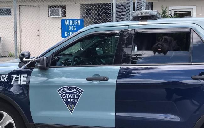 В США уточнили количество погибших в результате падения поезда с моста