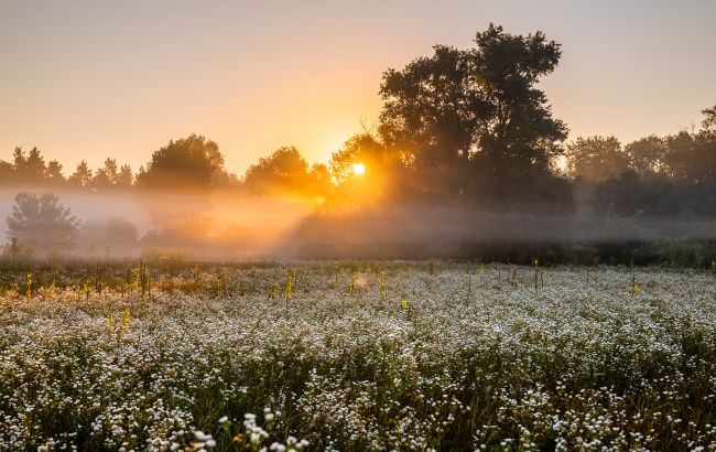 Синоптики дали прогноз на сегодня в Украине. Где ждать дожди