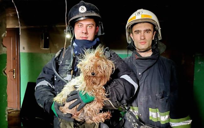 Украинцам предлагают стать добровольцами защиты граждан: как это сделать