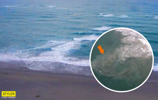 Опасное явление в Азовском море может погубить даже опытных пловцов: как уберечься