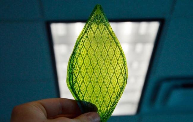 Ученые разработали солнечную панель, способную одновременно генерировать электричество и водород из воды