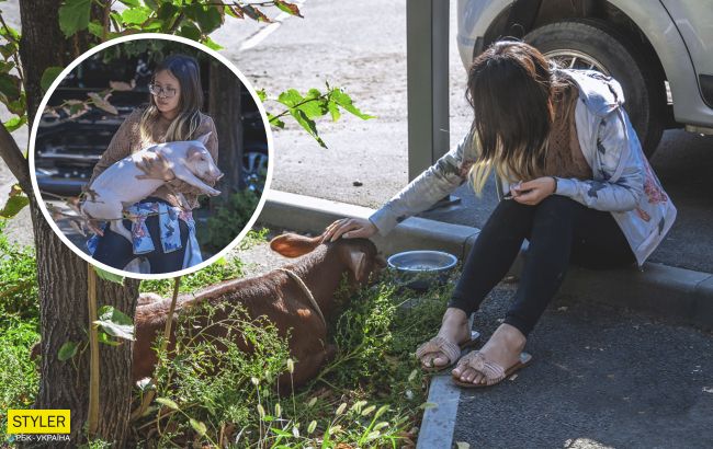 В центре Днепра американка выгуливала поросенка и теленка, которые живут с ней на съемной квартире (фото)