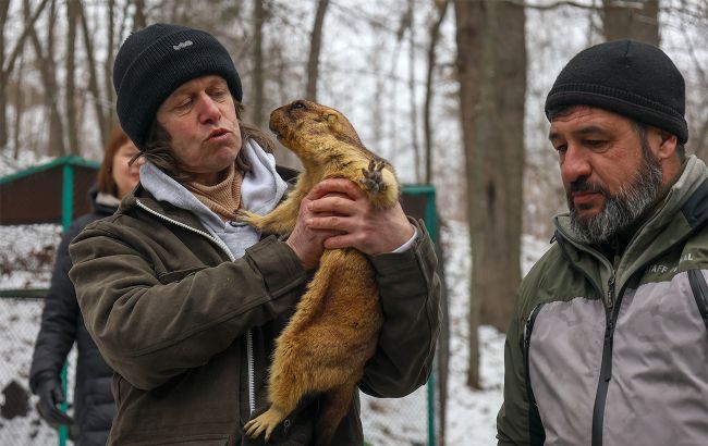 Чи вірити прогнозам бабака про весну: в Укргідрометцентрі розставили крапки над "і"