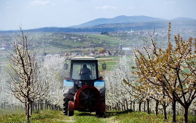 Більше половини українців планують садити город цього року