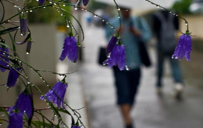 Погода на сегодня: в Украине местами дожди с грозами, температура до +33