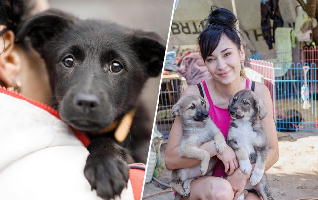 "Если умирать - то всем вместе. Но своих не брошу". Как во время войны выживает приют для животных в Днепре