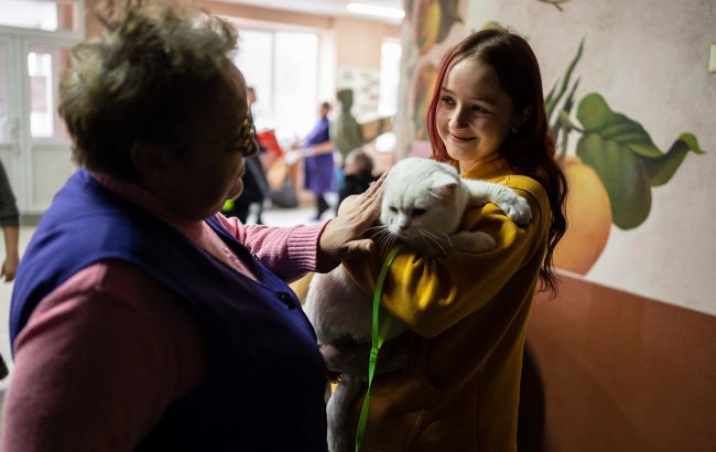 Українці можуть отримати компенсацію за житло для переселенців: що потрібно знати