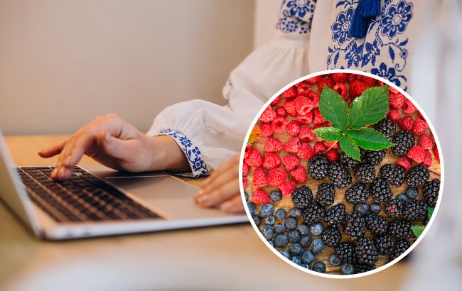 "Єжевіка, голубіка, клюква". Як правильно називати ягоди українською
