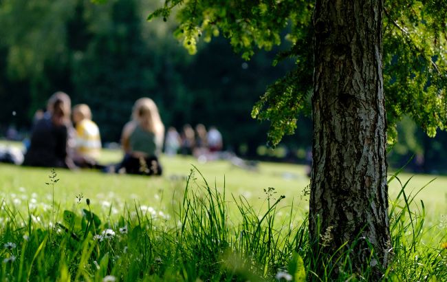 Разом з теплом в Україну прийдуть кліщі: як уберегтися в парках і садах