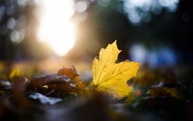 Отставить панику! Синоптики дали прогноз на октябрь 2021