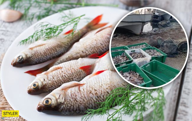 Украинцы могут остаться без рыбы: экологи бьют тревогу