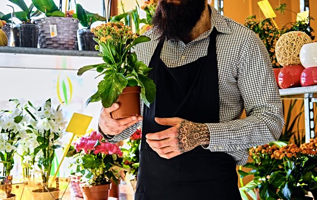 Куплені квіти в горщиках в'януть: чому це відбувається і як боротися