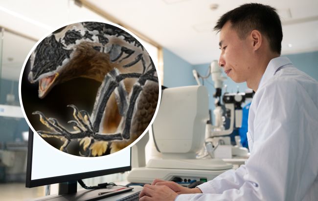 З головою динозавра і тілом птаха: вчені показали, як виглядала унікальна доісторична істота (відео)