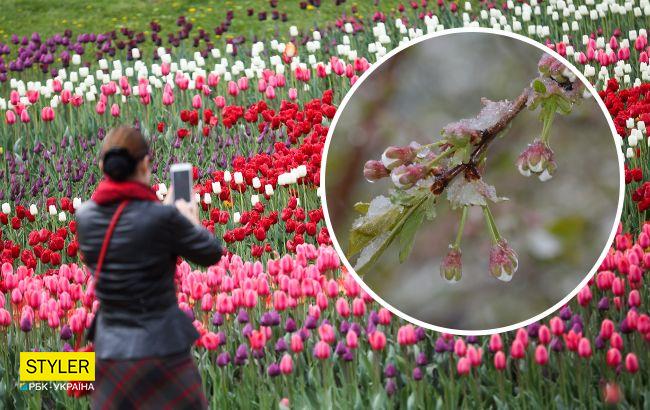 Контраст от -3 до +23 градусов: синоптики предупредили о погодных сюрпризах