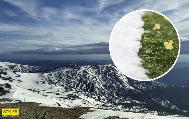 Зима отступает: в Карпатах стартовала настоящая весна (фото)