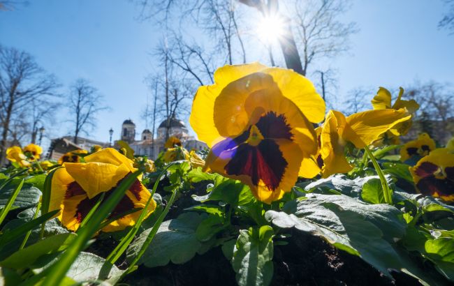 Погода в Украине меняется: в какие области завтра придет дождь и где прогреет до +18