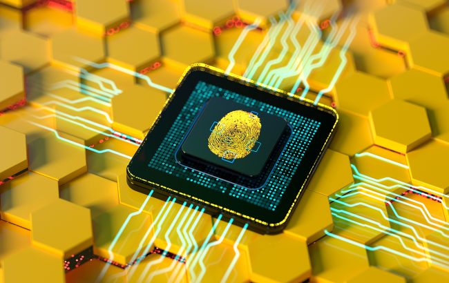 Нидерланды профинансируют защиту Украины от российских кибератак