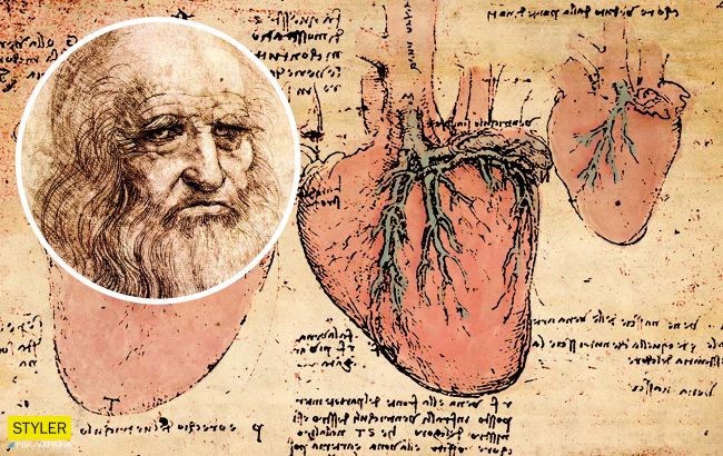 Загадка да Винчи о мышцах сердца наконец разгадана: играют жизненно важную роль