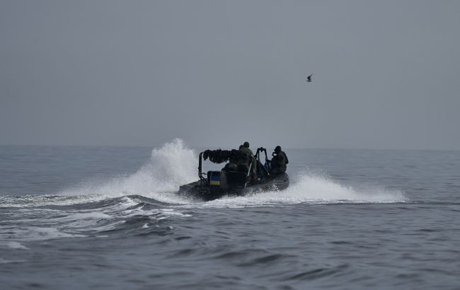 ЗСУ встановили контроль над островом Нестрига під Херсоном, - Сирський