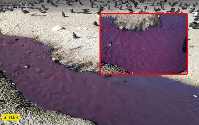 Багровые реки: в оккупированном Крыму случилось экологическое ЧП (видео)