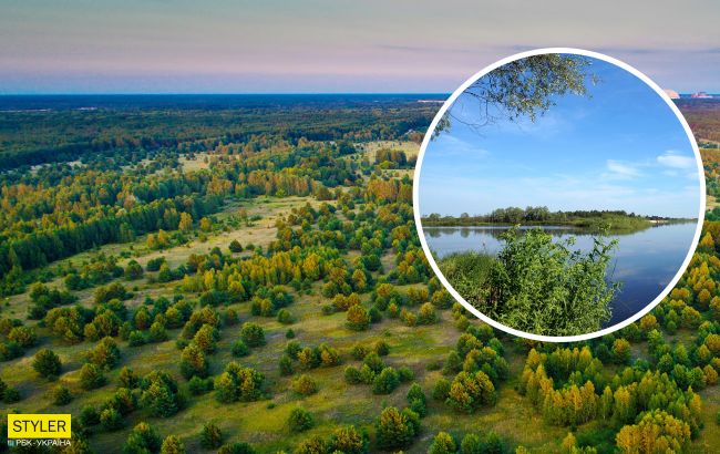 В Чернобыльской зоне найдены редкие цветы: их красота завораживает